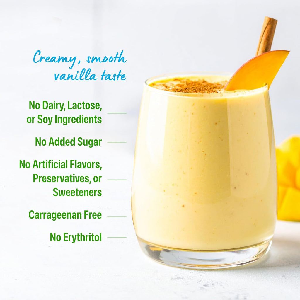 Organic Protein Powder, 21g Plant Protein, No Lactose Ingredients, No Added Sugar