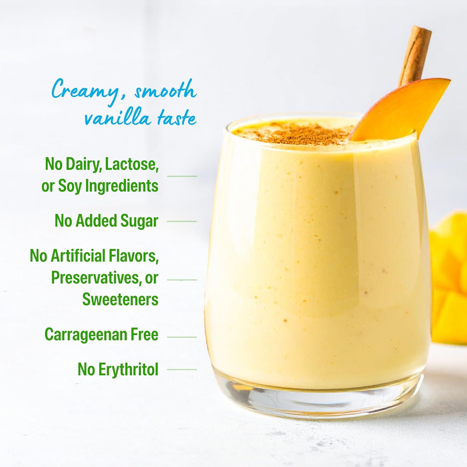 Organic Protein Powder, 21g Plant Protein, No Lactose Ingredients, No Added Sugar