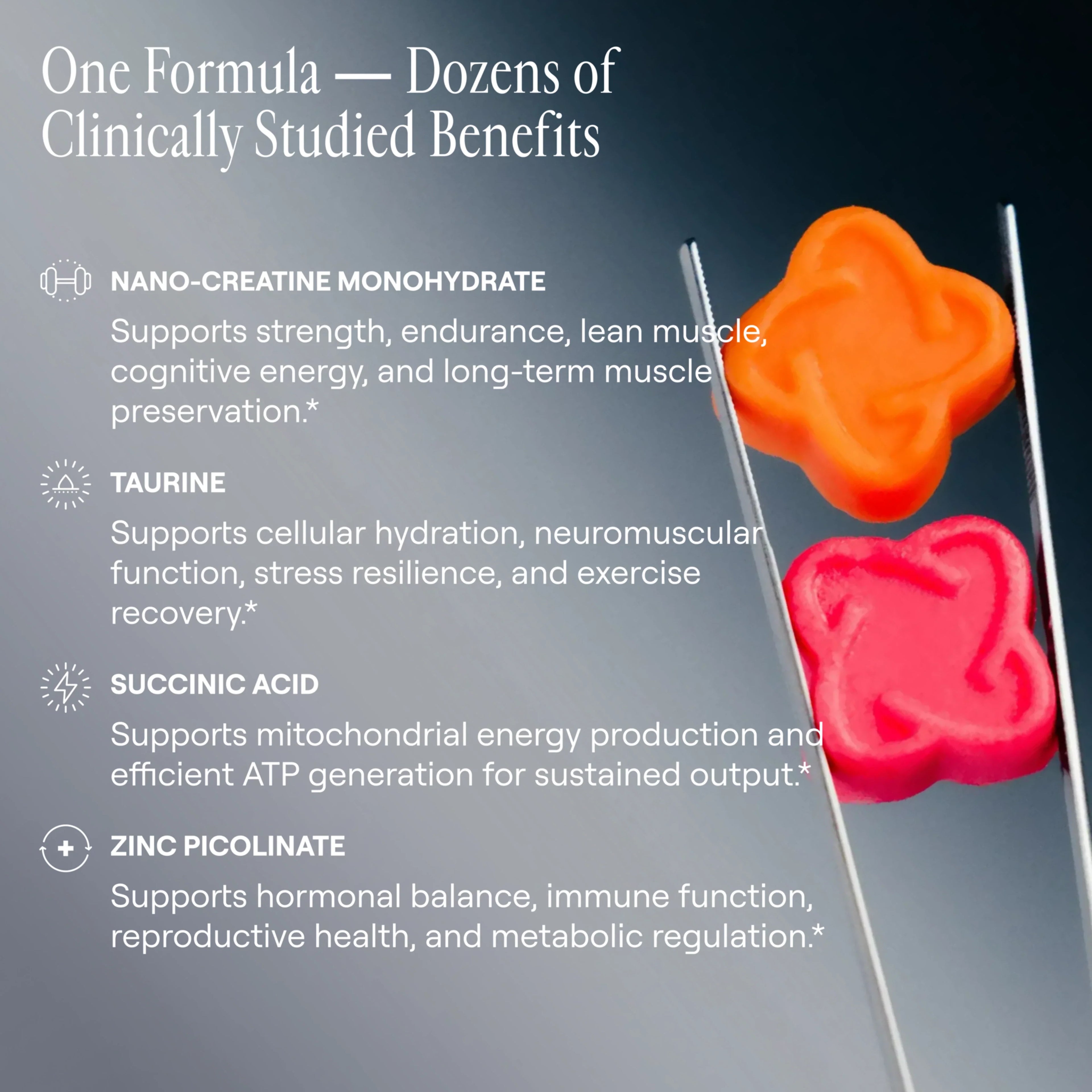 Creatine Monohydrate Gummies